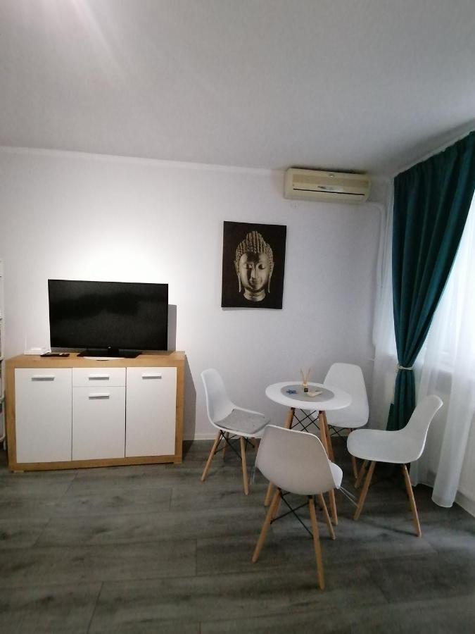 Bega Circumvalatiunii 1 Room Apartment Temesvár Kültér fotó
