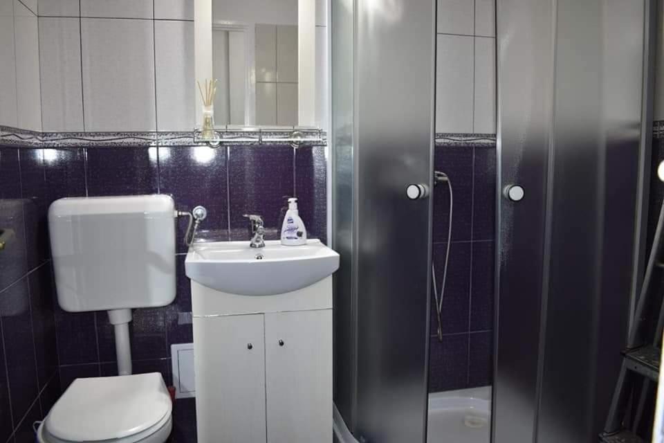 Bega Circumvalatiunii 1 Room Apartment Temesvár Kültér fotó