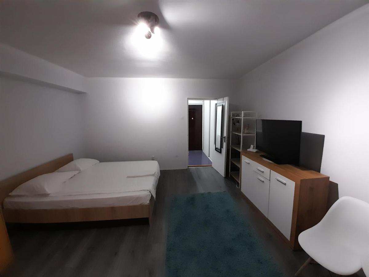 Bega Circumvalatiunii 1 Room Apartment Temesvár Kültér fotó